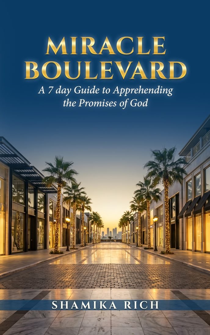 Miracle Boulevard book cover